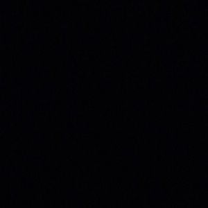 Meet your Posher, Lexi